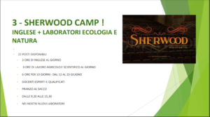 3 - SHERWOOD CAMP