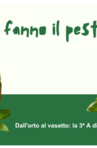 post pesto 3A